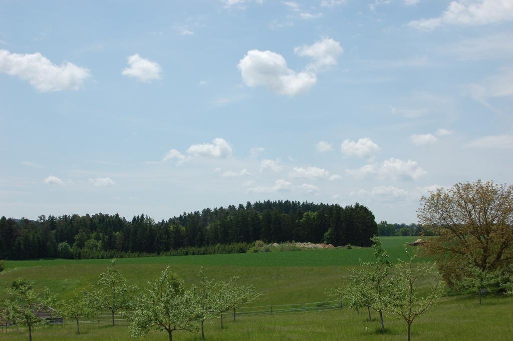 Breitenbrunn  Ferienwohnung Brock מראה חיצוני תמונה